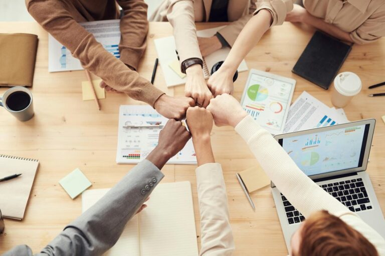 business financial model insights