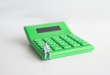 market adaptation and growth