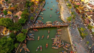 market dynamics navigation strategies