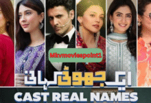 Aik Jhooti Kahani Drama: Cast, Lead Roles, Storyline, Episodes, and Timings