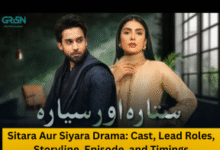 Sitara Aur Siyara Drama: Cast, Lead Roles, Storyline, Episode, and Timings