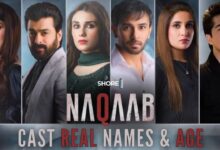 Naqaab Drama: Cast, Lead Roles, Storyline, Episode, and Timings
