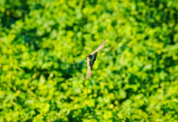 enhance your systems efficiently