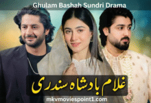 Badshah Ghulam Sundari Drama Cast Release Date Episodes & Timings